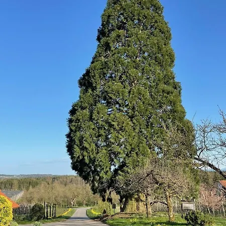 Hofgut Bergchalet Mirabell - Natururlaub Am Bodensee