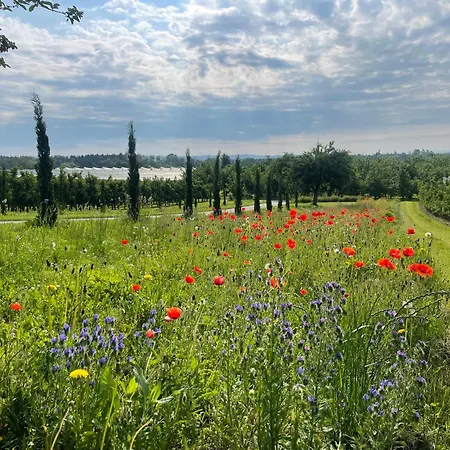 Bergchalet Mirabell - Natururlaub Am Bodensee 아파트 *