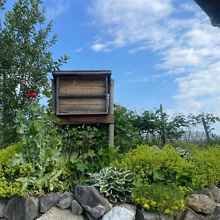 Hofgut Bergchalet Mirabell - Natururlaub Am Bodensee Apartamento *