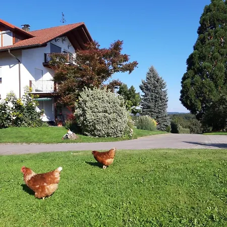 Hofgut Bergchalet Mirabell - Natururlaub Am Bodensee * 腓特烈港