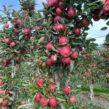 Hofgut Bergchalet Mirabell - Natururlaub Am Bodensee Apartamento Friedrichshafen