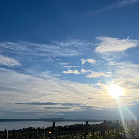 Hofgut Bergchalet Mirabell - Natururlaub Am Bodensee 公寓 腓特烈港