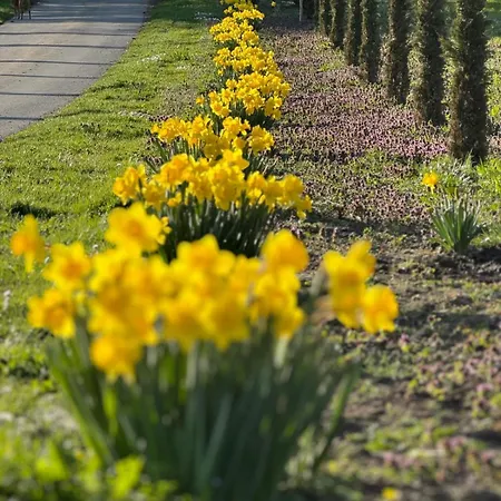아파트 Hofgut Bergchalet Mirabell - Natururlaub Am Bodensee