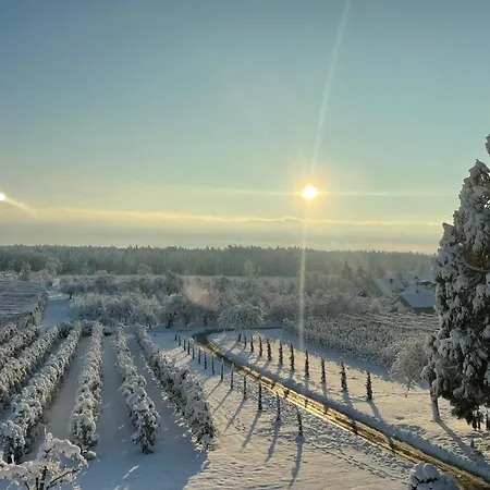 Hofgut Bergchalet Mirabell - Natururlaub Am Bodensee * Friedrichshafen
