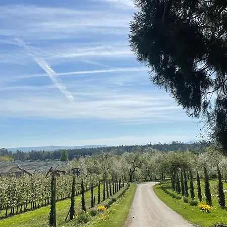 Hofgut Bergchalet Mirabell - Natururlaub Am Bodensee 腓特烈港