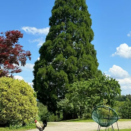 Hofgut Bergchalet Mirabell - Natururlaub Am Bodensee 公寓 腓特烈港