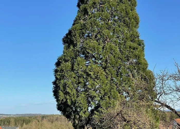 Hofgut Bergchalet Mirabell - Natururlaub Am Bodensee