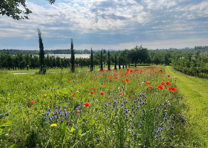 Hofgut Bergchalet Mirabell - Natururlaub Am Bodensee Appartement *