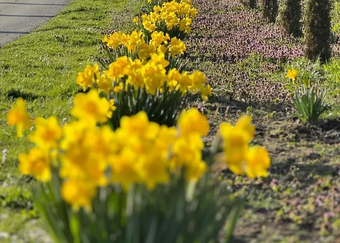 Appartement Hofgut Bergchalet Mirabell - Natururlaub Am Bodensee
