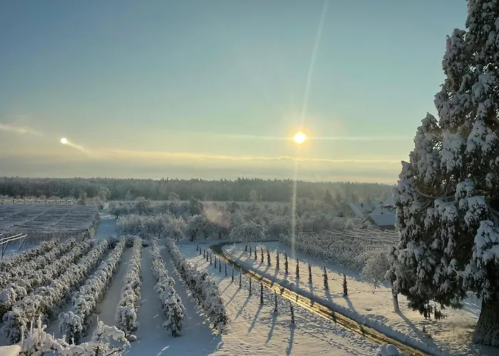 Hofgut Bergchalet Mirabell - Natururlaub Am Bodensee * Friedrichshafen