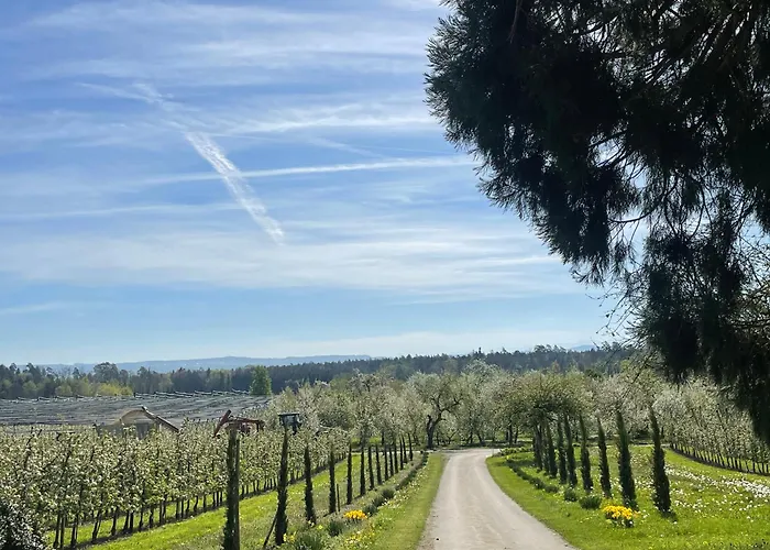 Hofgut Bergchalet Mirabell - Natururlaub Am Bodensee Friedrichshafen