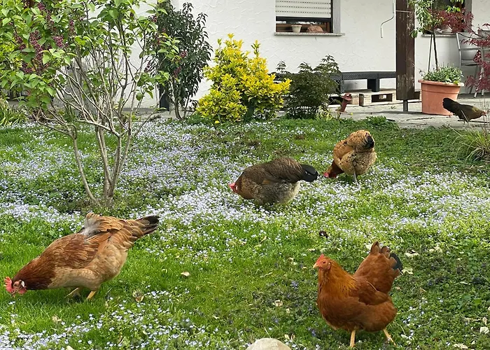 Hofgut Bergchalet Mirabell - Natururlaub Am Bodensee Appartement *