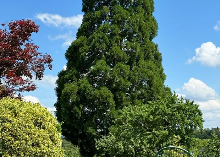 Hofgut Bergchalet Mirabell - Natururlaub Am Bodensee Appartement Friedrichshafen